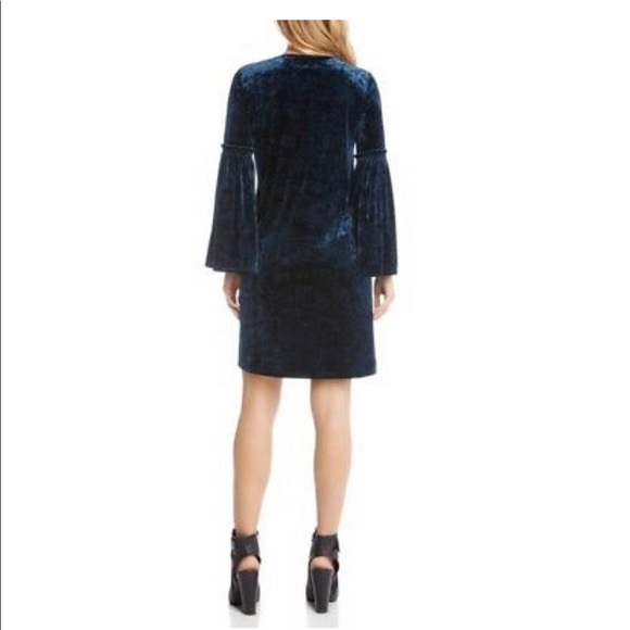 Velvet Dress - Picture 2 of 6